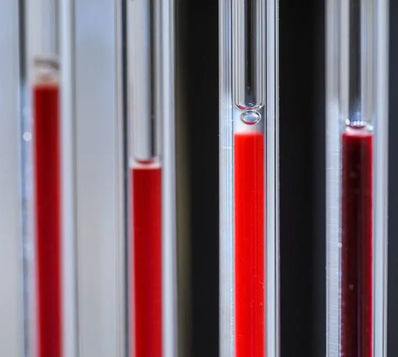 Industry Leader picture 1